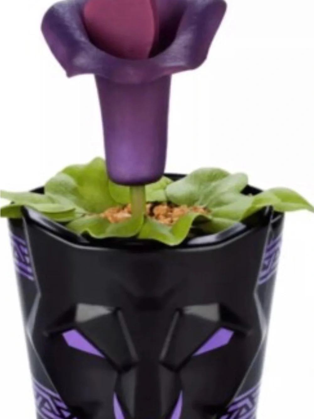 Wakanda Purple Flower Accent in Black Planter